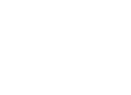 Levski white logo